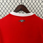 AC Milan 2024-2025 home image 4