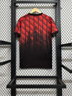 AC Milan 2024-2025 special edition image 2