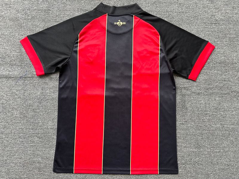 AFC Bournemouth 2024-2025 home image 2