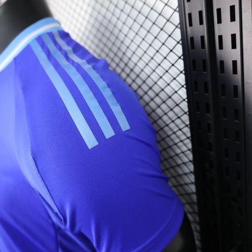 Argentina national 2024 away player image 4