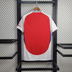 Arsenal FC 2024-2025 home image 2