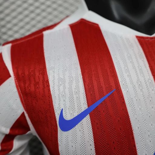 Atletico Madrid 2025-2026 home player image 10