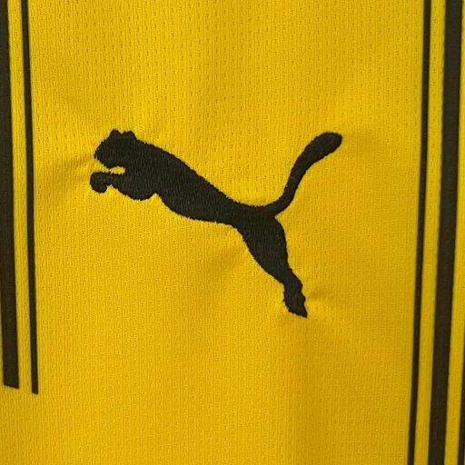 BVB Dortmund 2024-2025 home image 8