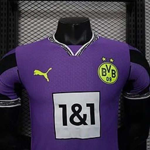 BVB Dortmund 2025-2026 Goalkeeper player image 3