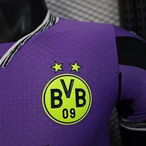 BVB Dortmund 2025-2026 Goalkeeper player image 6
