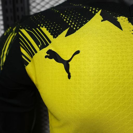 BVB Dortmund 2025-2026 home player image 5