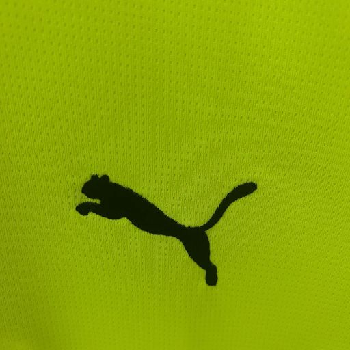 BVB Dortmund 2025-2026 special edition green image 8