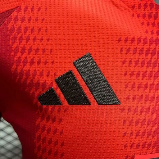 Bayern M?nchen 2024-2025 home player image 7