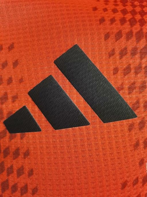 Bayern M?nchen 2024-2025 home player image 8