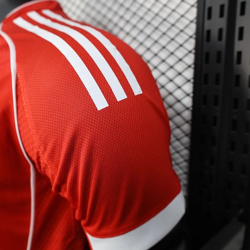 Bayern M?nchen 2025-2026 home player image 6