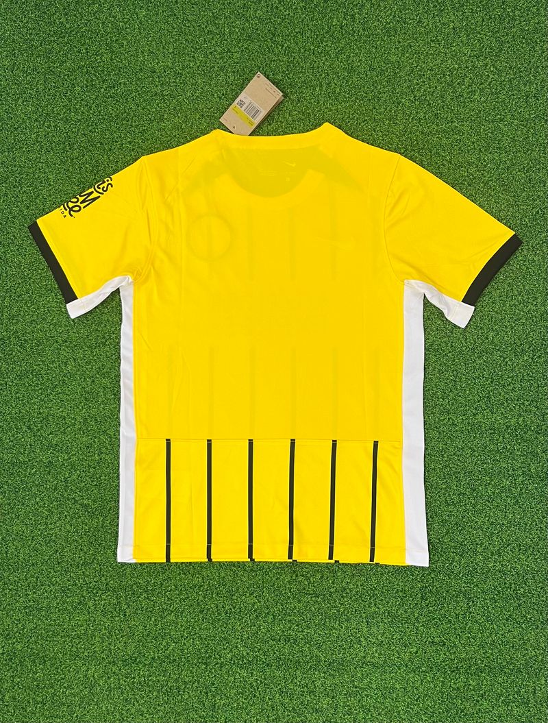 Brighton Hove Albion 2024-2025 away image 2