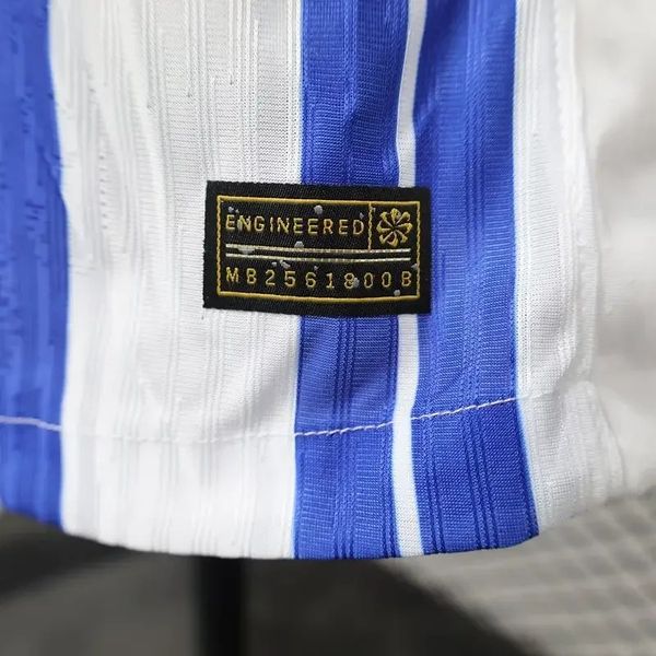 Brighton Hove Albion 2024-2025 home player image 8