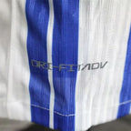 Brighton Hove Albion 2024-2025 home player image 9