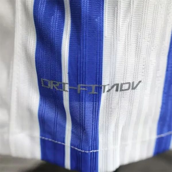 Brighton Hove Albion 2024-2025 home player image 9