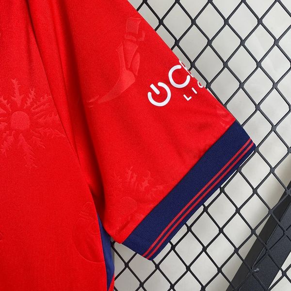 CA Osasuna 2024-2025 home image 5