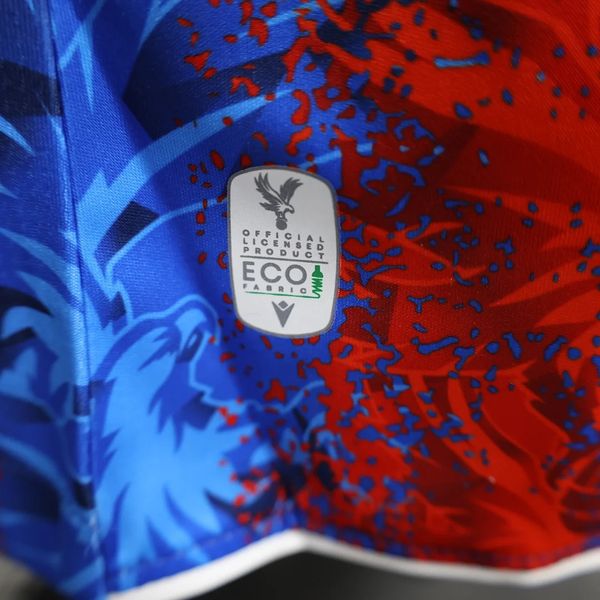 Crystal Palace 2024-2025 home player image 8