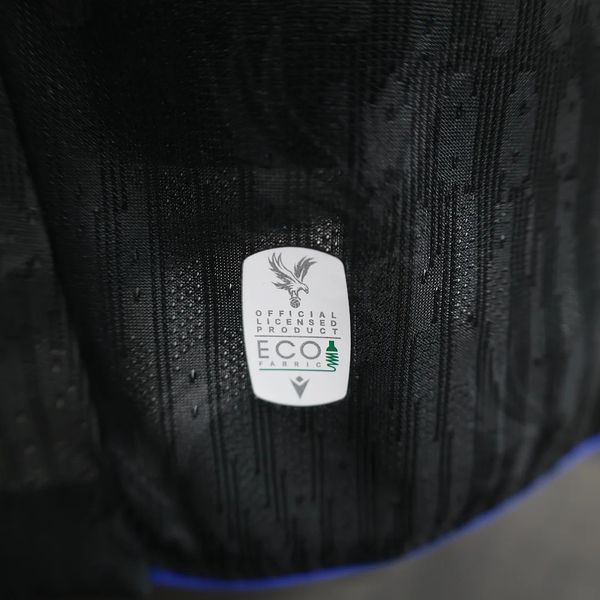 Crystal Palace 2024-2025 second away player image 8