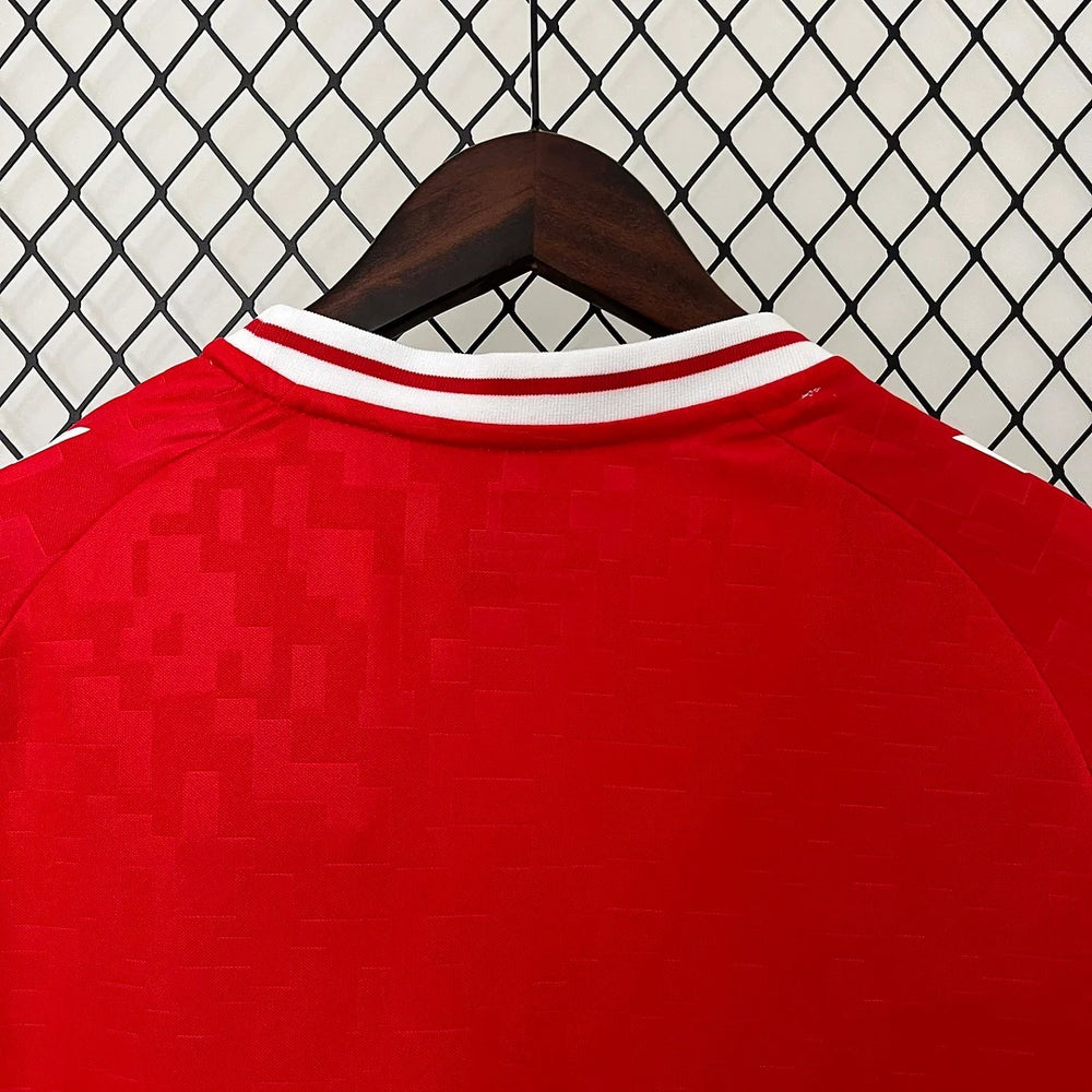 Denmark national 2024 home image 4