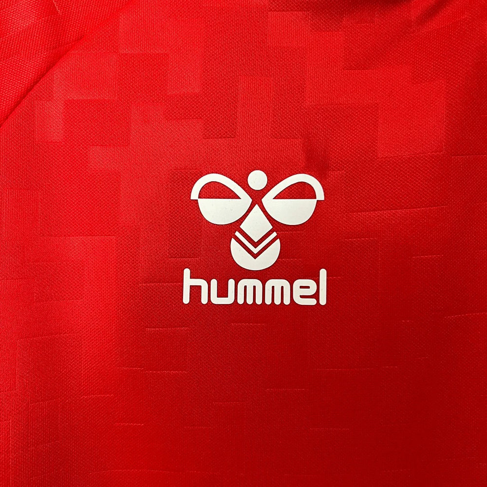Denmark national 2024 home image 6