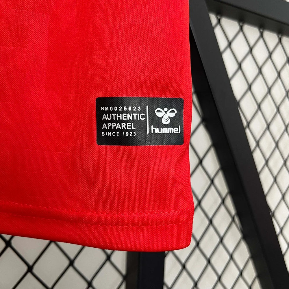 Denmark national 2024 home image 8