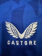 Everton FC 2024-2025 home image 5