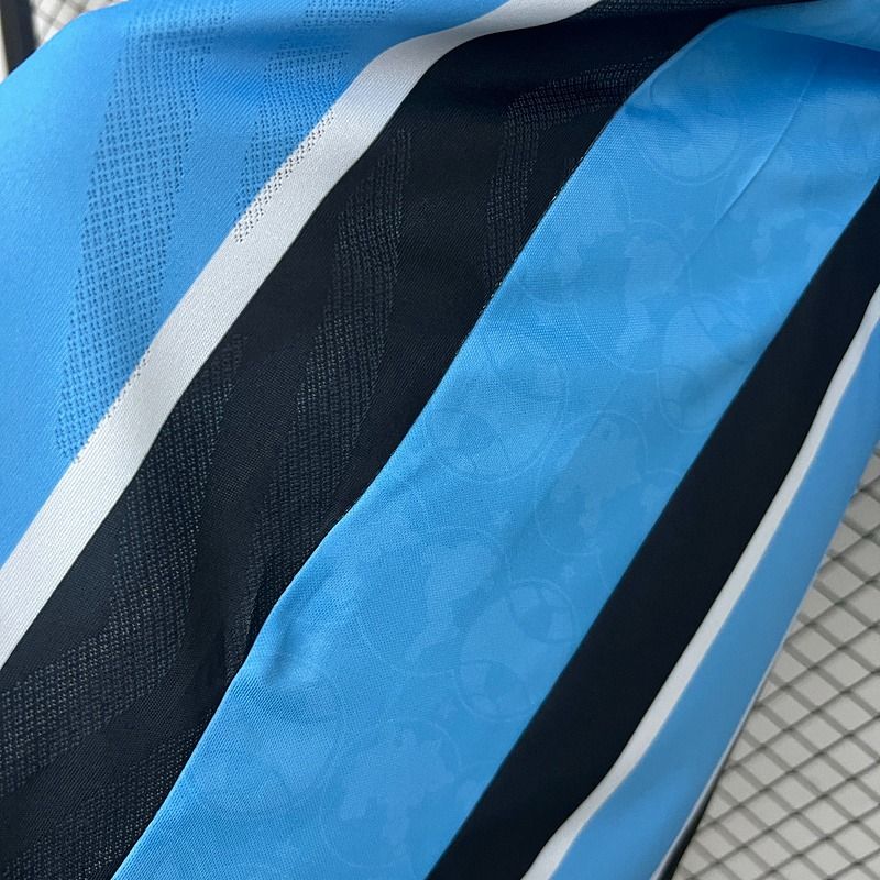 Gremio 2025-2026 home image 5