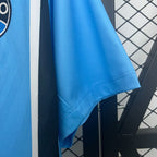 Gremio 2025-2026 home image 6