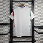 Italy national 2024 away image 2