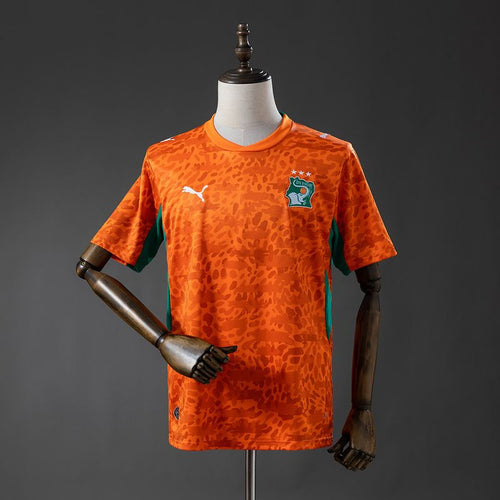 Ivory Coast 2026 Home Fan