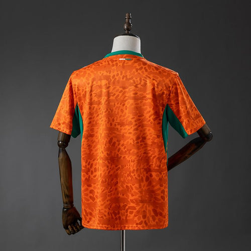 Ivory Coast 2026 Home Fan image 2