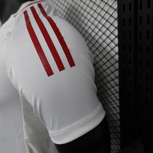 Japan national 2024 away player image 6