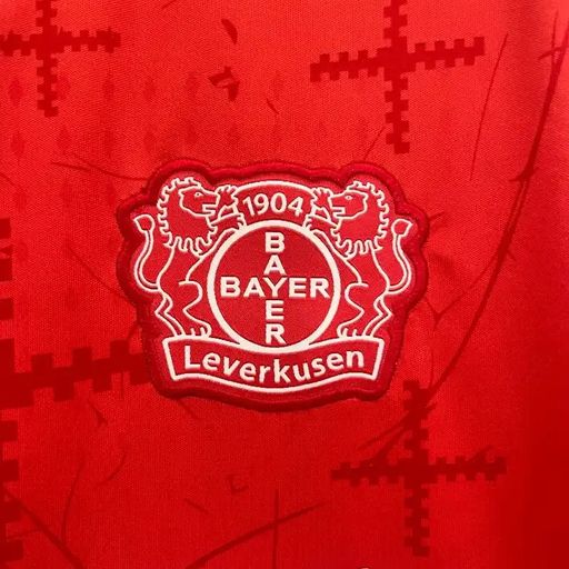 Leverkusen 2024-2025 home image 8