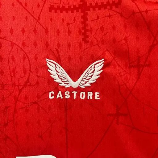 Leverkusen 2024-2025 home image 9