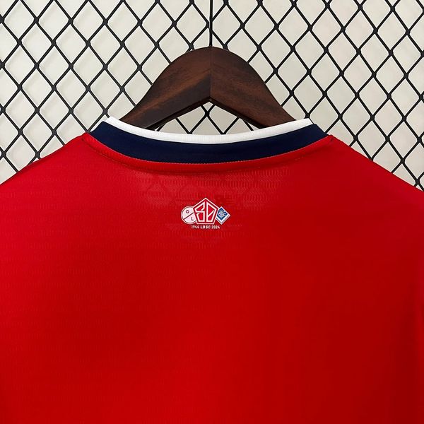 Lille OSC 2024-2025 home image 4