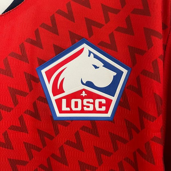 Lille OSC 2024-2025 home image 5