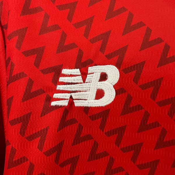 Lille OSC 2024-2025 home image 6