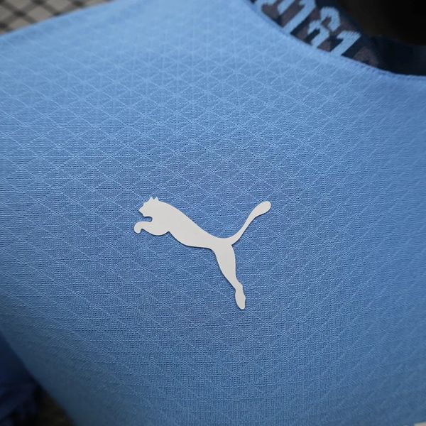 Manchester City 2024-2025 home player image 8