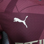Manchester City 2024-2025 second away player image 7
