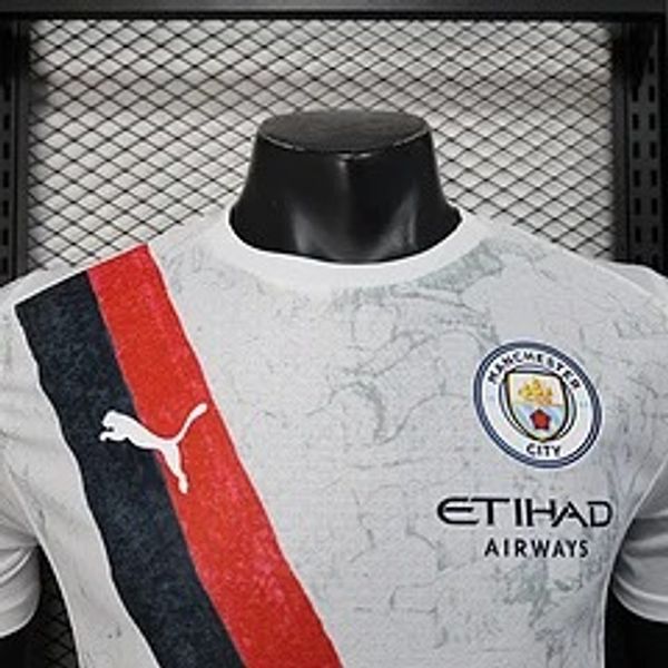 Manchester City 2025-2026 away player image 3