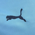 Manchester City 2025-2026 home image 10