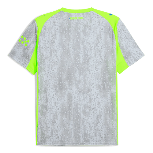 Manchester United 2025-2026 second away image 2