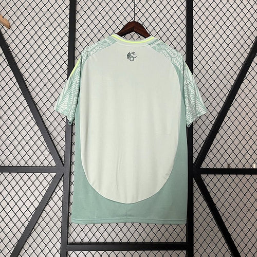 Mexico national 2024 away image 2