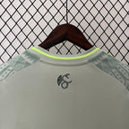 Mexico national 2024 away image 4