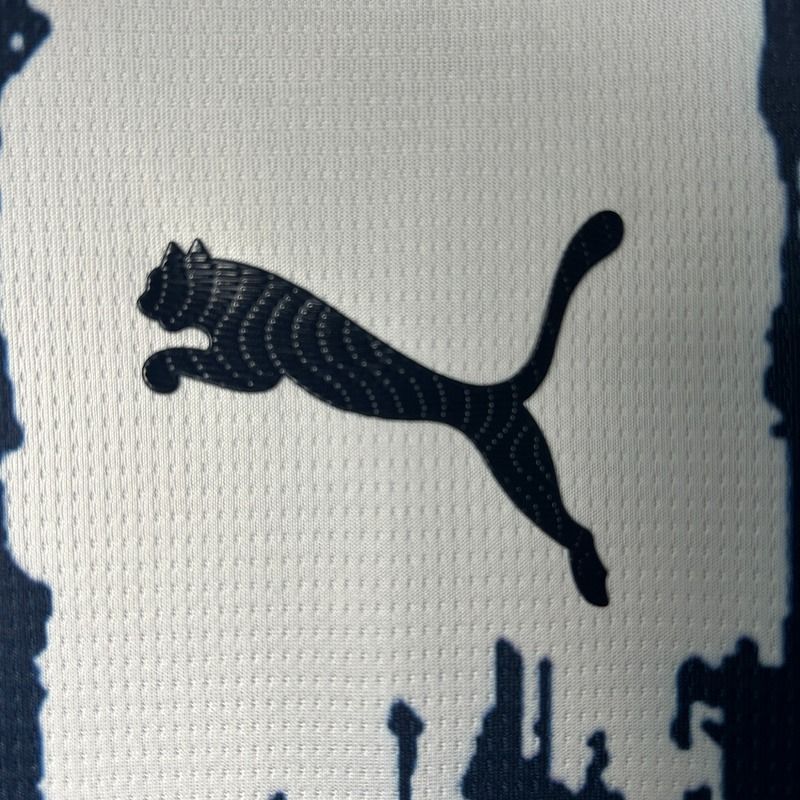 Monterrey 2025-2026 home image 8
