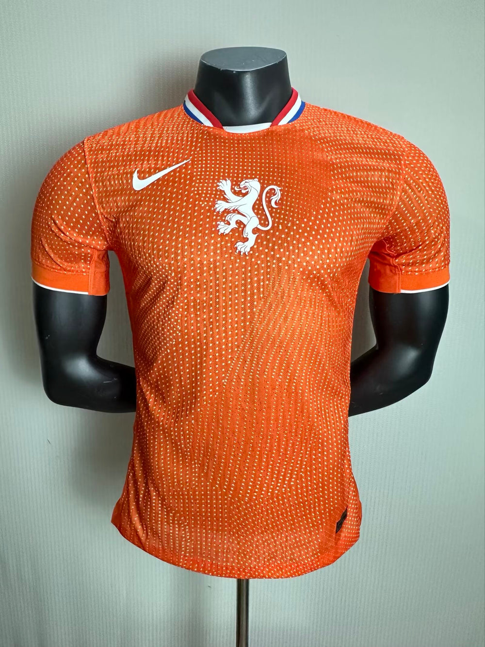 Netherlands 2026 home player