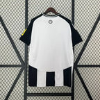Newcastle United 2024-2025 home image 2