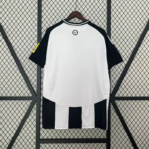 Newcastle United 2024-2025 home image 2
