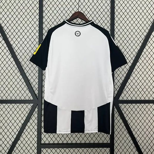 Newcastle United 2024-2025 home image 2