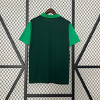 Palmeiras 2024-2025 Polo shirt green image 2