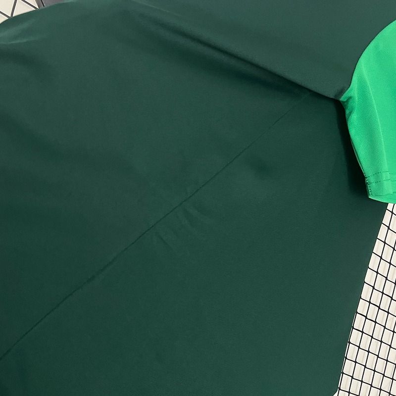 Palmeiras 2024-2025 Polo shirt green image 8